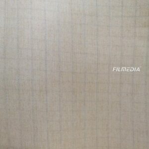 Anti-Static Aramid(Nomex) Needle Felt